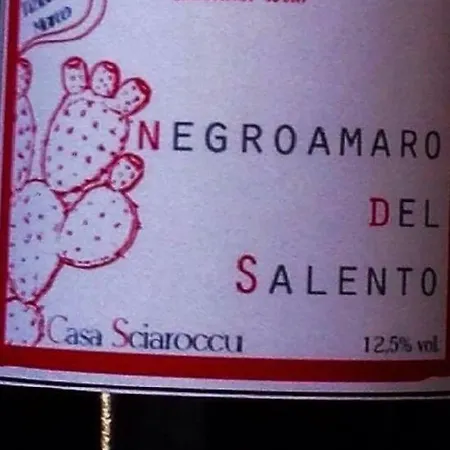 Dom wakacyjny Casa Sciaroccu *
